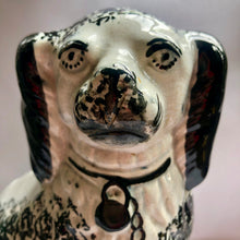 Load image into Gallery viewer, Staffordshire Wally Dog - Waldo
