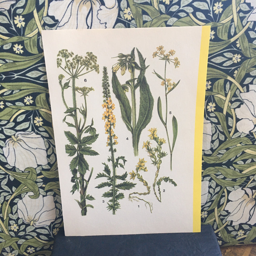 Botanical book plates - set A