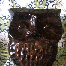 Load image into Gallery viewer, Studio pottery Moss Owl money box
