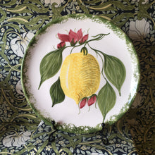 Load image into Gallery viewer, Lemon hand~painted wall plate
