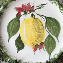 Load image into Gallery viewer, Lemon hand~painted wall plate
