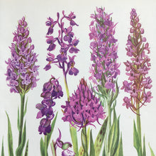 Load image into Gallery viewer, Bookplate ~ Orchid
