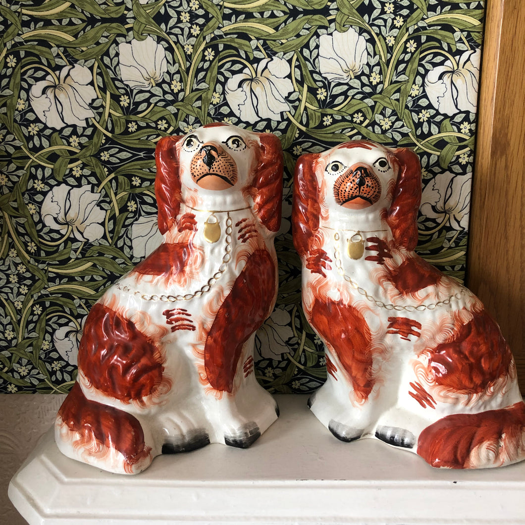 Staffordshire Wally Dogs