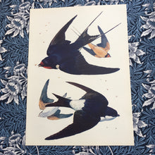 Load image into Gallery viewer, Charles Tunnicliffe ~ Swallow &amp; Housemartins on the wing vintage print  - 1949
